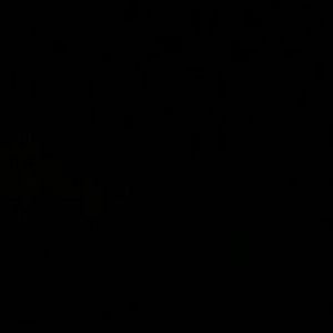 Meet your Posher, Karla